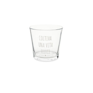 Vaso in vetro per piante e fiori